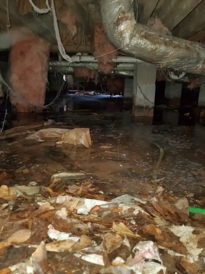 Crawl space flood assessment for Commercial Water Damage Restoration in Chelsea